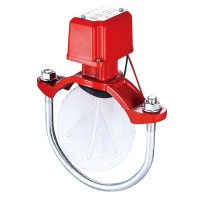 粵興消防水流指示器ZSJZ150-M-1.6